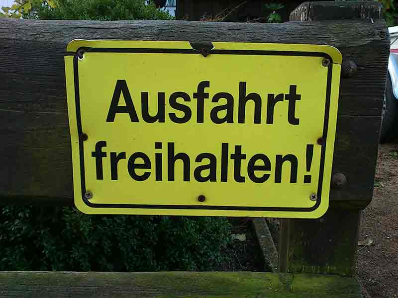 ausfahrt Die eleganten Braunen vor dem Landauer